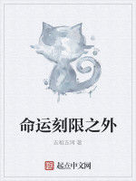命運刻限之外
