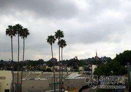 東洛杉磯學院 東洛杉磯學院