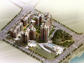 荷蘭水鄉 荷蘭水鄉