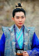 保鏢之翡翠娃娃[2011年范秀明執導電視劇]