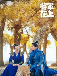 將軍在上[2017年侶皓吉吉、文杰執導電視劇]