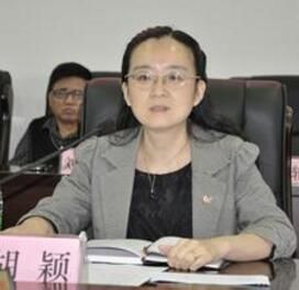 胡穎[邵陽市人民政府原副市長]