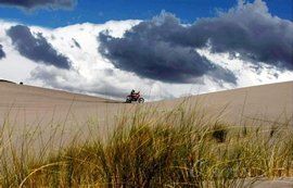 潘帕斯高原 潘帕斯高原