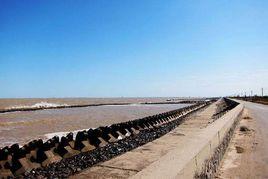 防潮堤 防潮堤