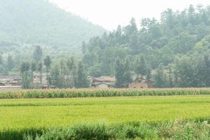 萬民愛村 萬民愛村