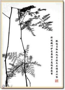 溫文儒雅 溫文儒雅