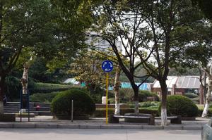 清水苑中央花園綠化帶