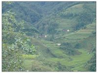 野牛場自然村 野牛場自然村