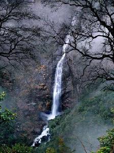 神龍谷景區 神龍谷景區