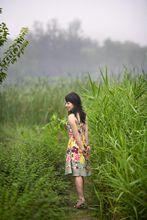 鄭莉莉[大陸女歌手]