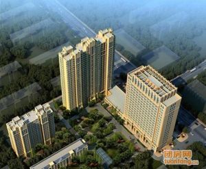 肯彤國際 肯彤國際