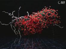 中赫時尚（北京）文化發展股份有限公司