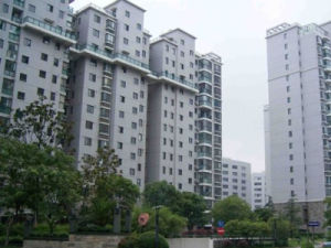 河風麗景 河風麗景