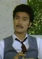 女黑俠木蘭花[王天林、杜琪峯執導，趙雅芝主演警匪劇]