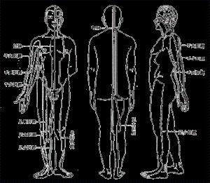 十二經脈 十二經脈