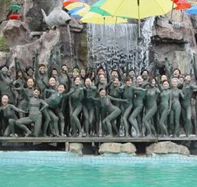 湯湖熱礦泥山莊 湯湖熱礦泥山莊