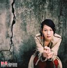 娛樂圈十大美女作家