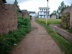 大院心村 大院心村