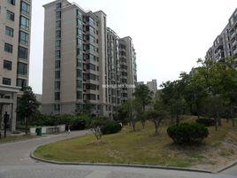 南京香樟園 南京香樟園