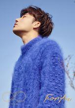 專輯回歸概念照