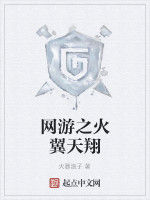 網遊之火翼天翔 網遊之火翼天翔