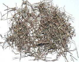 白花蛇舌草[中藥]