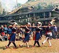 通天籮原始森林