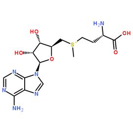 甲硫氨酸 甲硫氨酸