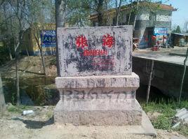 張海村[山東省聊城市陽穀縣張海村]