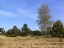 莫利茨國家公園