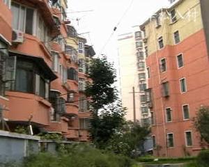 莘松八村 莘松八村