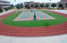 龍湖學校 龍湖學校