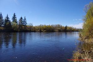 阿木爾河 阿木爾河