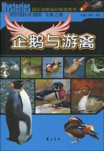 飛禽之謎·企鵝與游禽 飛禽之謎·企鵝與游禽