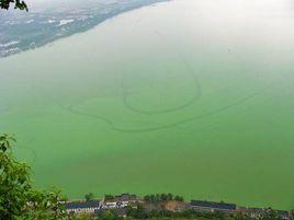 揮發作用 揮發作用