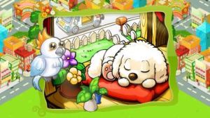 360寵物之家 360寵物之家