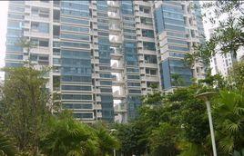 檳城西岸 檳城西岸