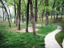 八公山國家森林公園建設