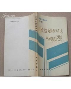 《西歐戰場特寫選》