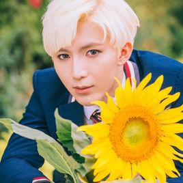 向日葵海洋 向日葵海洋