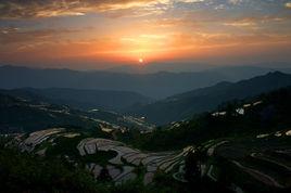 山背梯田 山背梯田