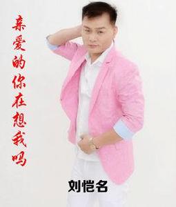 親愛的你想我嗎[劉愷名演唱的歌曲]