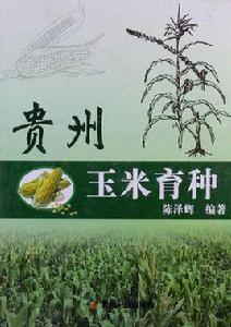 貴州玉米育種 貴州玉米育種