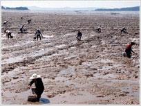 玉城街道[浙江省玉環市玉城街道]