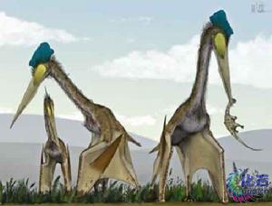 撒哈拉沙漠動物