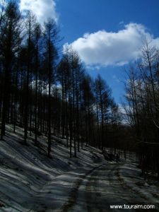 遼寧撫順灣甸子林場 遼寧撫順灣甸子林場