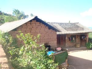 大園圃村 大園圃村