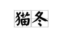 貓冬[漢語詞語]