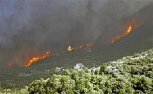 突如其來的森林大火席捲了希臘