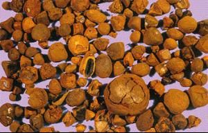 人造牛黃 人造牛黃